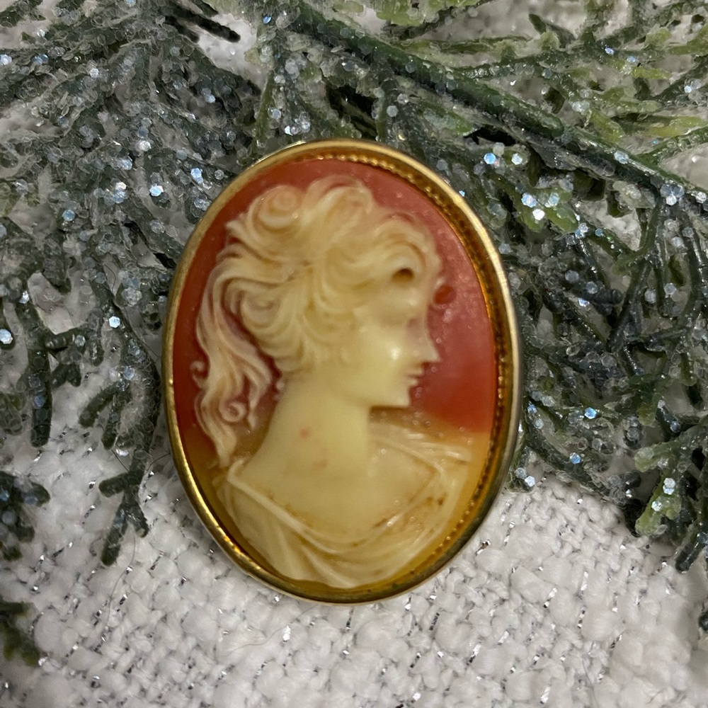 Vintage Cameo Brooch - Gold and Coral